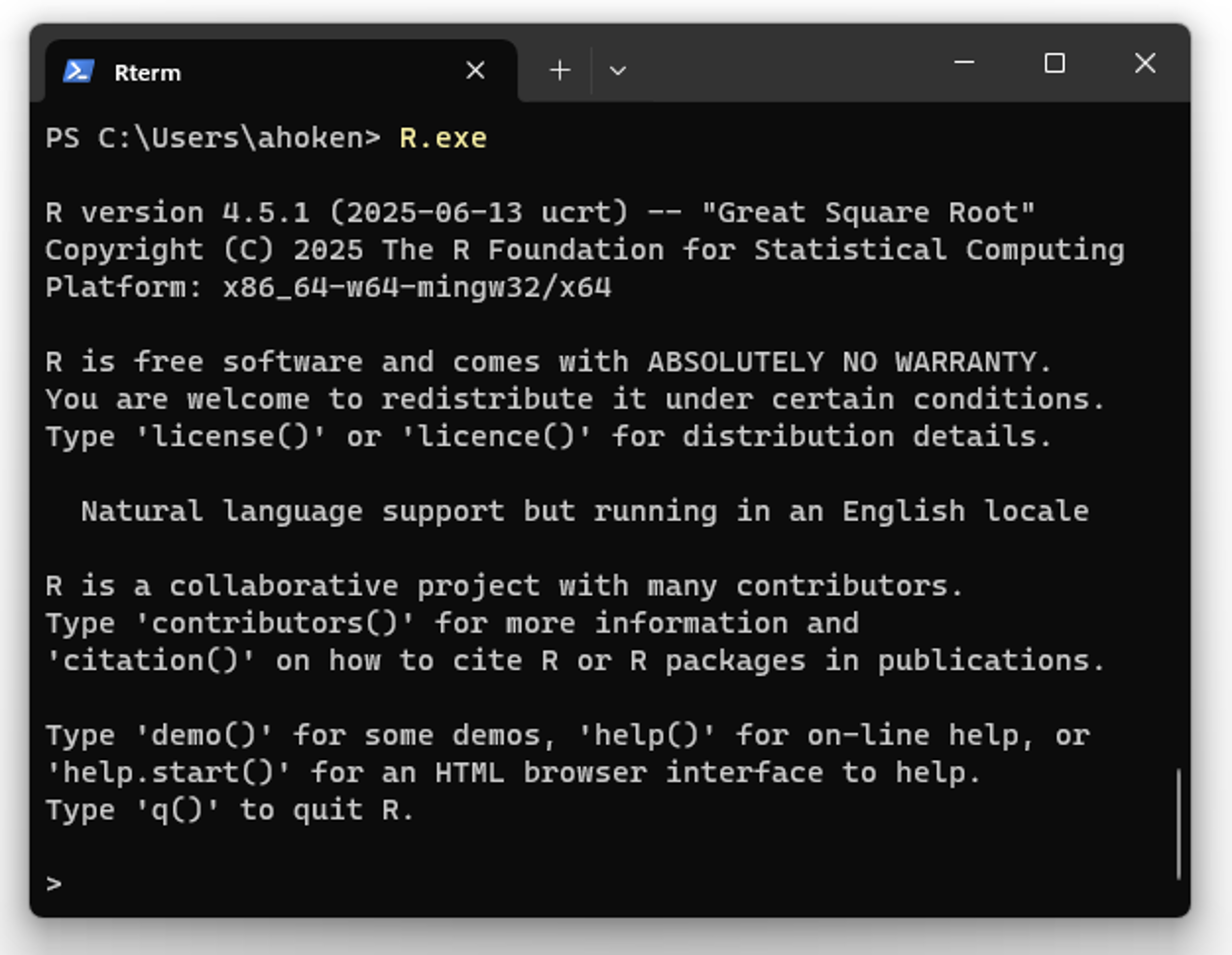 The Rterm (**R**-terminal) shell implemented from a Windows PowerShell terminal with the command `R.exe`. To access PowerShell, press the Windows key, 🪟, type `powershell`, and press <kbd>Enter</kbd>.