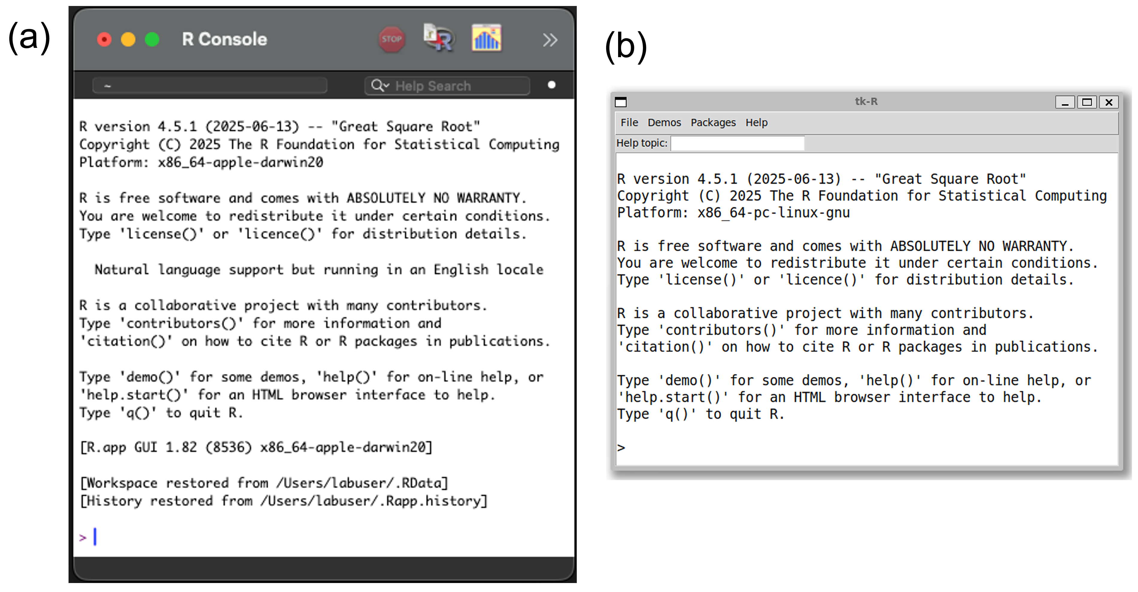 **R**-GUIs for recent versions of **R**, ver. 4.5.1 'Great Square Root':  (a) Mac OS (Tahoe), and (b) the Ubuntu Linux system. The Linux GUI was prompted at a terminal with `R -g Tk &`.